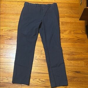 Banana republic Navy Blue Pants NWOT